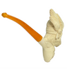Deluxe Double-Headed Indian Lion Meerschaum Pipe