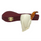Smooth Oval Bowl in Claw Meerschaum Pipe