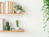 Color-Coordination Hacks Using J Thomas Home’s Custom Finishes