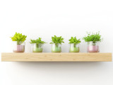 Top 5 Floating Shelf Styling Trends to Try This Summer