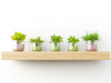 Top 5 Floating Shelf Styling Trends to Try This Summer