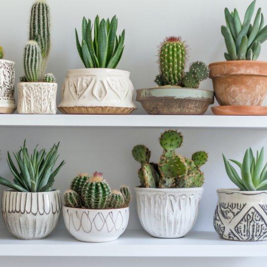 Quick Ship Shelves Mobile