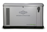 Briggs & Stratton 040787 22kW PowerProtect+™ Standby Generator Aluminum Enclosure