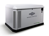 Briggs & Stratton 040787 22kW PowerProtect+™ Standby Generator Aluminum Enclosure