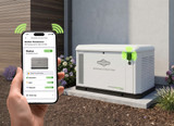 Briggs & Stratton 040807 26kW PowerProtect+™ Standby Generator Aluminum Enclosure