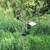 Mounting Post (Camera / Solar Pak)