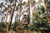 Connect MAX 2.0 Cellular Trail  Camera