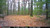 Connect MAX 2.0 Cellular Trail  Camera