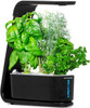 AeroGarden Sprout with Gourmet Herbs Seed Pod Kit Hydroponic Indoor Garden Black