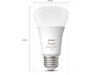 Philips Hue A19 LED Color Smart Bulb Starter Kit (75W 2021 Version), Compatible