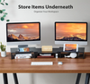 LORYERGO Dual Monitor Stand for 2 Monitors LEMS02