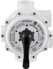 Pentair 261055 Multiport Valve Triton Quad D.E. Filters - WHITE