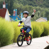 Segway Ninebot 18" Kids Bike Ages 5-10 with Aerospace Aluminum Frame - RED