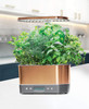 AeroGarden Harvest Elite - Copper