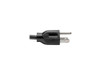 Tripp Lite Universal Computer Power Cord, 10A, 18AWG (NEMA 5-15P to