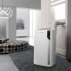 De'Longhi Pinguino 4-in-1: Air Conditioner, Heater PAC-EL375HGRKC-3AL-WH - WHITE