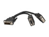 Tripp Lite P564-06N-DV 6" Male to Female Digital Y Splitter Cable