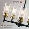 Sucolite 5-Light Chandelier with Clear Glass Shades 3358-P5-BK - Black/Gold