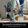 Shark R-EX200 CarpetXpert with Stain Striker, Upright Carpet, Area Rug - Navy