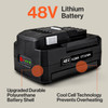 SuperHandy Super Duty Pro 48V DC 4Ah Lithium Ion Rechargeable Battery