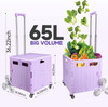 Honshine PLX-3 Foldable Cart with Stair Climbing Wheels, Collapsible - Lavender
