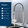 Bio Bidet FLOW Kitchen Faucet with Pull Down Sprayer - Brushed Nickel
