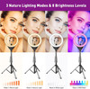 VALUSIN 10" Ring Light with 59" Tripod Stand and Phone Holder - Black