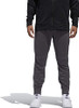 DP0642 Adidas Men's Basketball Electric Pant New