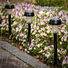 LANSGARINE 12 Pack Solar Pathway Lights, LT09-12 89835, Stainless Steel/Black LANSGARINE 12 Pack Solar Pathway Lights, LT09-12 89835, Stainless Steel/Black