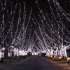 TOUCH OF ECO SOLAR STRING LIGHTS 225 LED 105 FEET TOE141 - COOL WHITE