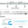 KXZM 5V USB RGB LED STRIP LIGHT USB POWERED 13.2FT/4M (2PCS X 6.6FT) 240LEDS