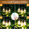 Mlambert 2 Pack Each 48FT 3-Color in 1 Solar String Lights Outdoor Patio