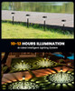 Sunow 8 Pack You Are the Light Solar Lights, Bright, Outdoor Lighting - Black