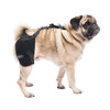 CALDERA INTERNATIONAL PET THERAPY HIP WRAP WITH GEL, SMALL - BLACK