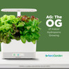 AeroGarden 100690-WHT Harvest With Heirloom Salad Greens Pod Kit - White