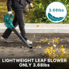 WESTLEY LEAF BLOWER CORDLESS WITH 2 * 20V BATTERY AND CHARGER LU10 - BLUE