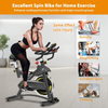 CYCLACE EXERCISE BIKE STATIONARY, 330LBS CAPACITY - BLACK/STAINLESS STEEL