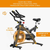 CYCLACE EXERCISE BIKE STATIONARY, 330LBS CAPACITY - BLACK/STAINLESS STEEL