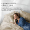 CHATEAU HOME COLLECTION Full Size Sheets, 100% Cotton Sheets Full Size Bed Set New
