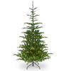 NATIONAL TREE COMPANY 'FEEL REAL' PRE-LIT ARTIFICIAL CHRISTMAS TREE - GREEN