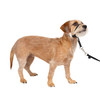 PETSAFE GENTLE LEADER NO-PULL DOG HEADCOLLAR SMALL - BLACK