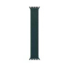 APPLE WATCH BRAIDED SOLO LOOP 45MM - SIZE 11 - RAINFOREST