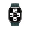 APPLE WATCH BRAIDED SOLO LOOP 45MM - SIZE 11 - RAINFOREST