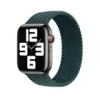 APPLE WATCH BRAIDED SOLO LOOP 45MM - SIZE 11 - RAINFOREST