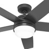Hunter Fan 52" Ceiling Fan Lights Remote Control Matte Black CC52507