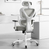 SYTAS ERGONOMIC OFFICE CHAIR, HIGH BACK COMPUTER DESK LUMBAR - LIGHT GREY