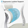SYTAS ERGONOMIC OFFICE CHAIR, HIGH BACK COMPUTER DESK LUMBAR - LIGHT GREY