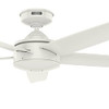 HUNTER FAN 52 INCH CEILING FAN WITH 5 BLADES CC5C14C24 - FRESH WHITE