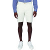 MEN'S IZOD SALTWATER STRETCH CHINO SHORTS - SIZE: MEN 32 - SILVER BIRCH New