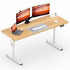 FITSTAND FQ1 160x60cm Electric Height Adjustable Desk With Memory Function